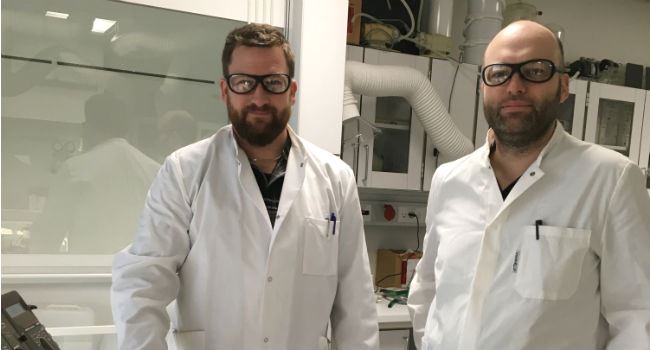 Fremtidens batterier er lavet af svampe Fremtidens batterier er lavet af svampe